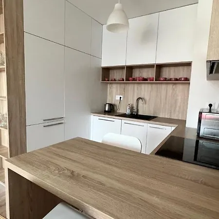 Air Conditioned 2 With Terrace, Prievozska Street Apartment