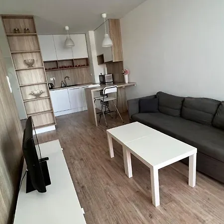 2 With Terrace, Prievozska Street Bratislava