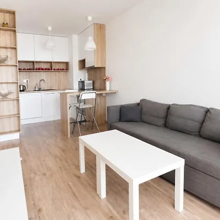 Air Conditioned 2 With Terrace, Prievozska Street * Bratislava