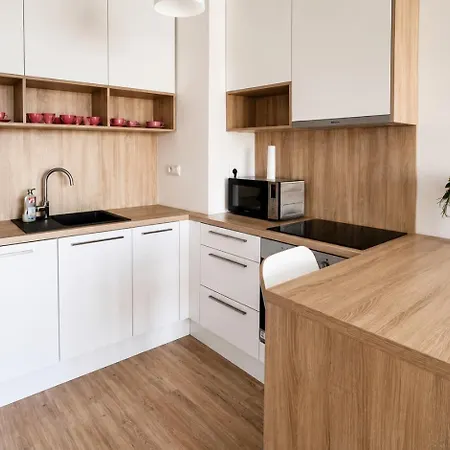Air Conditioned 2 With Terrace, Prievozska Street דירה ברטיסלאבה