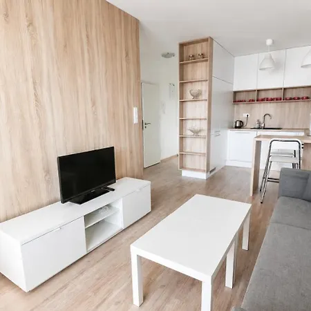 Air Conditioned 2 With Terrace, Prievozska Street דירה ברטיסלאבה